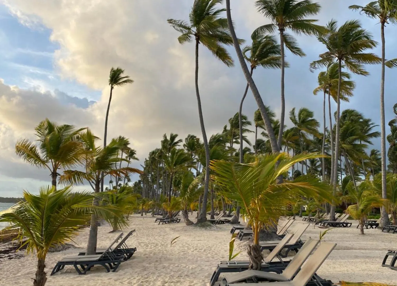 The Perfect Place For Holiday In Los Corales Rd 푼타 카나 아파트