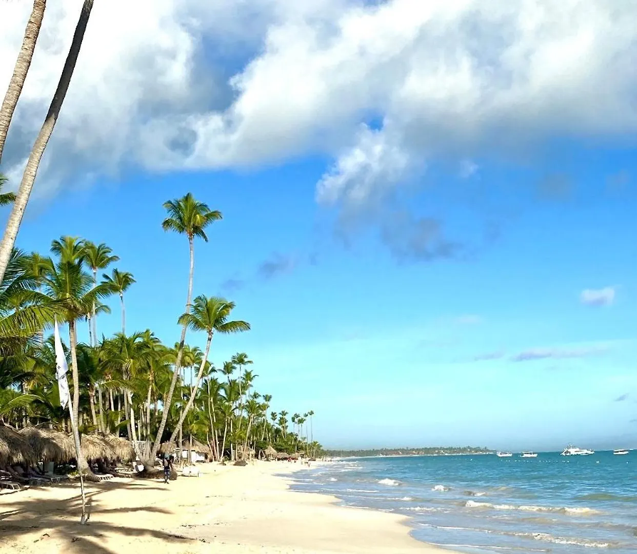 The Perfect Place For Holiday In Los Corales Rd Punta Cana Den Dominikanske Republik