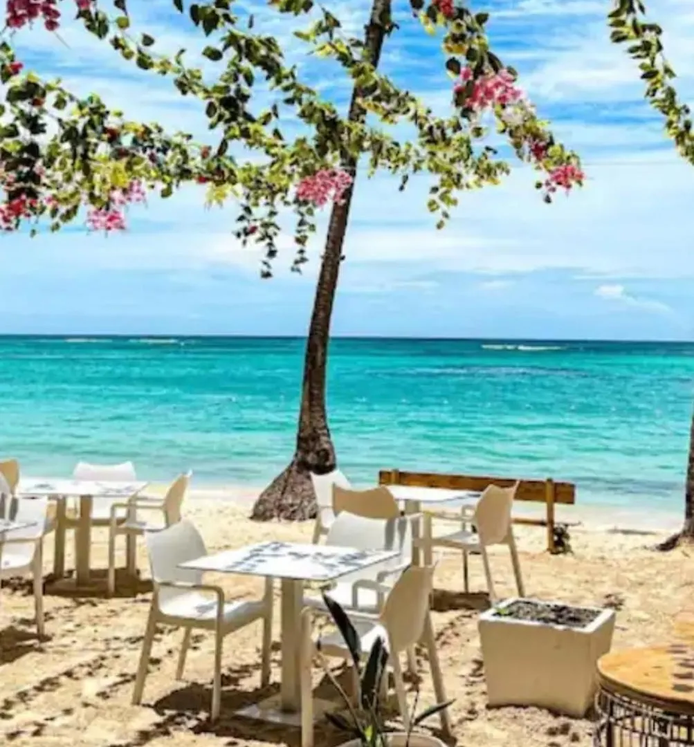 Lejlighed The Perfect Place For Holiday In Los Corales Rd Punta Cana Den Dominikanske Republik